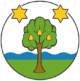 DORFVEREIN SEEWIL